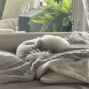 Meet your Posher, Kate